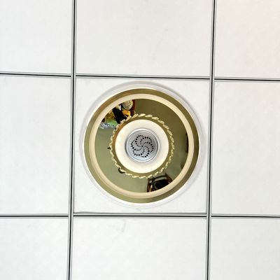 DC12V Ionisierungsmodul für Lampen-Negativ-Ionen-Generator 8KV OEM